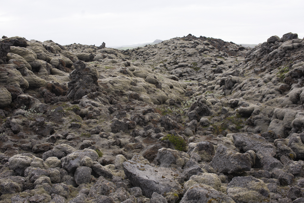 Rugged lava field covered in moss, showing mounds and rock formations at Eldhraun, Iceland under a cloudy sky.