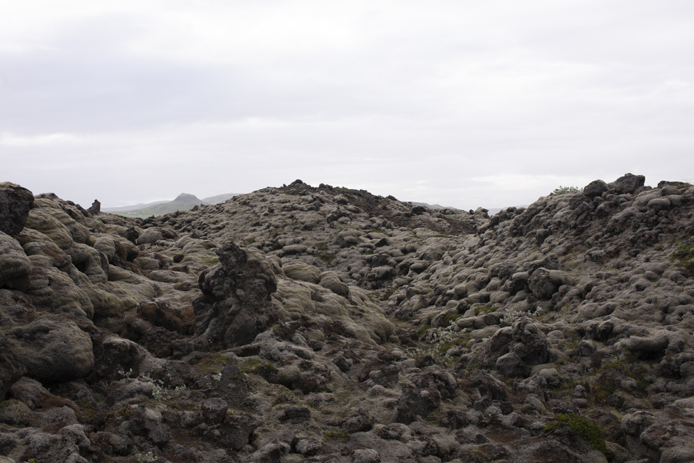 View of Eldhraun lava field in Iceland, with rugged moss-covered mounds and distant hills visible on the horizon.